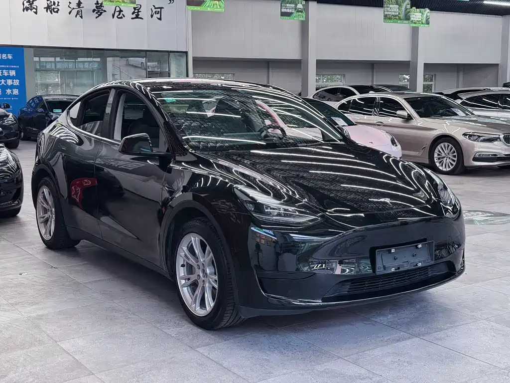 Tesla Model Y — миниатюра 3