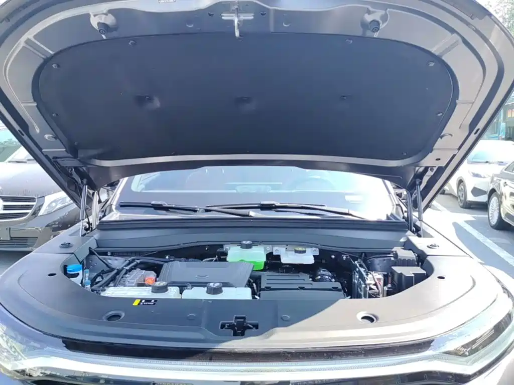 GAC Motor Trumpchi Xiangwang S7 — миниатюра 20