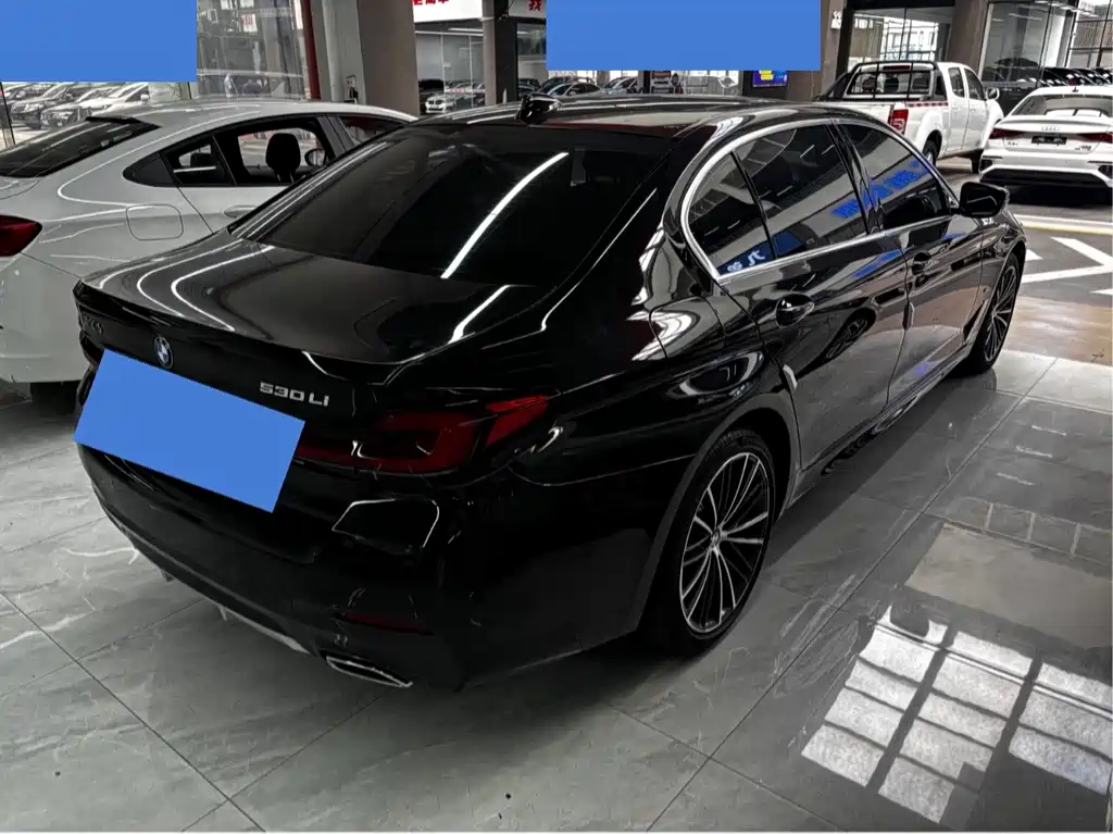 BMW 5 Series — миниатюра 16