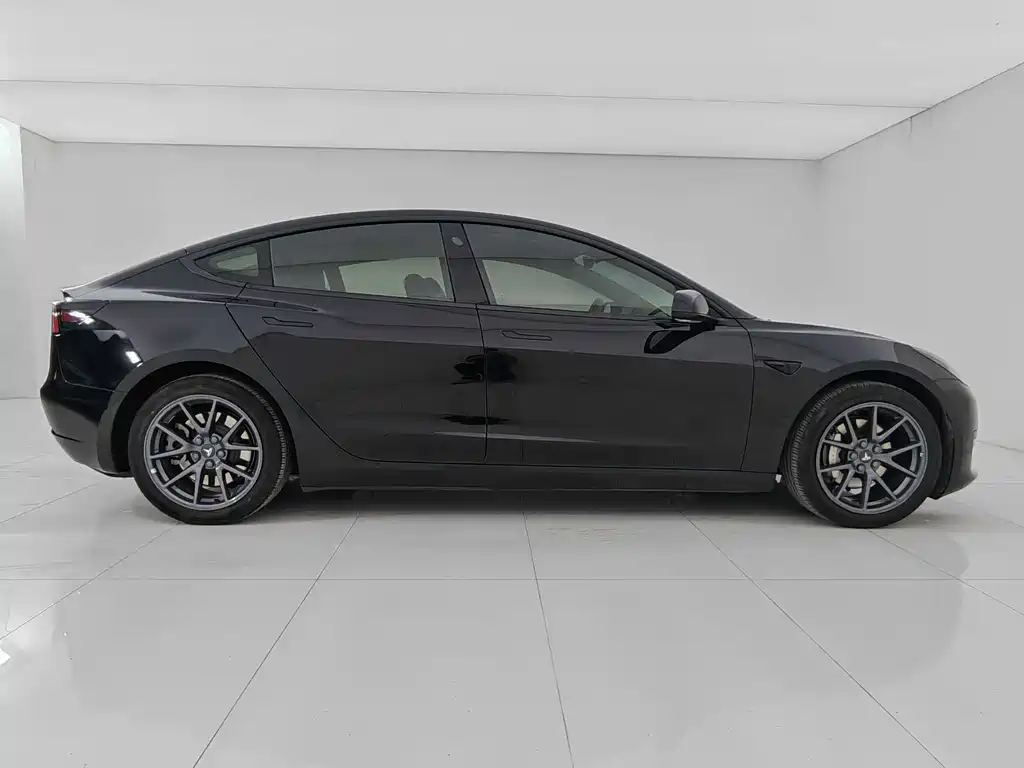 Tesla Model 3 2021 3D1