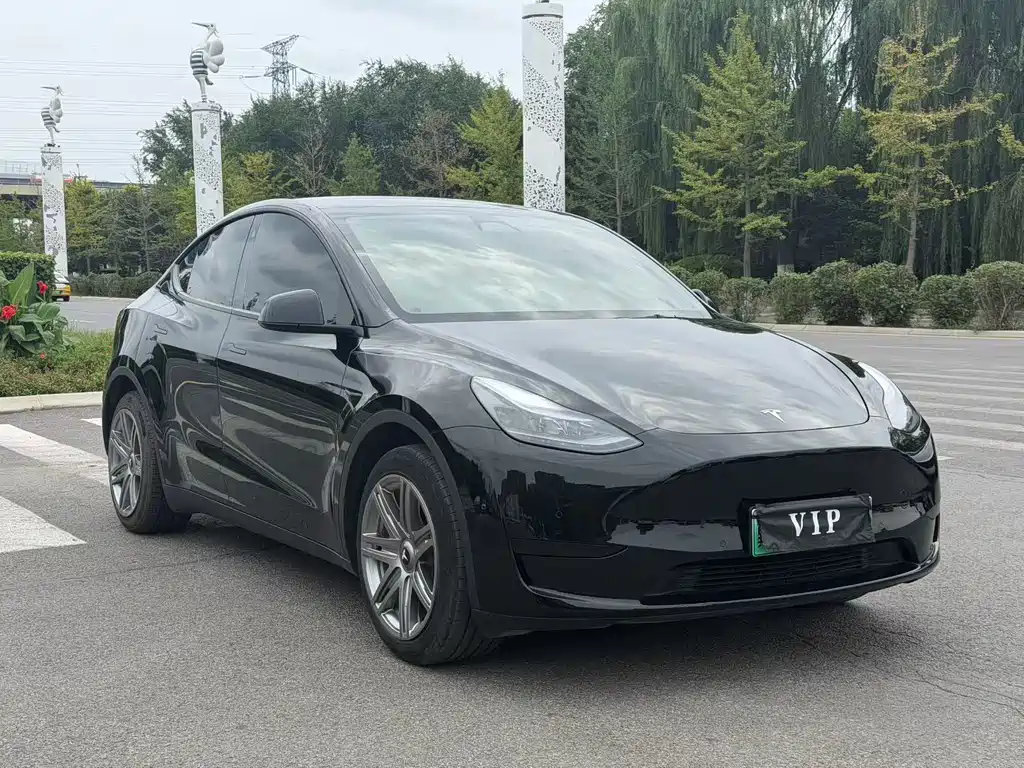 Tesla Model Y — миниатюра 7