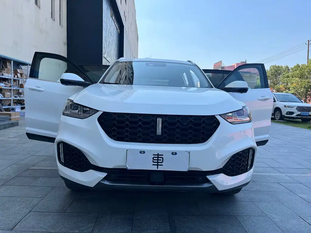 Wey Wey VV6 — миниатюра 14