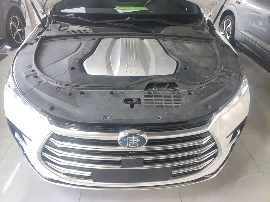 BYD Tang New Energy — миниатюра 20