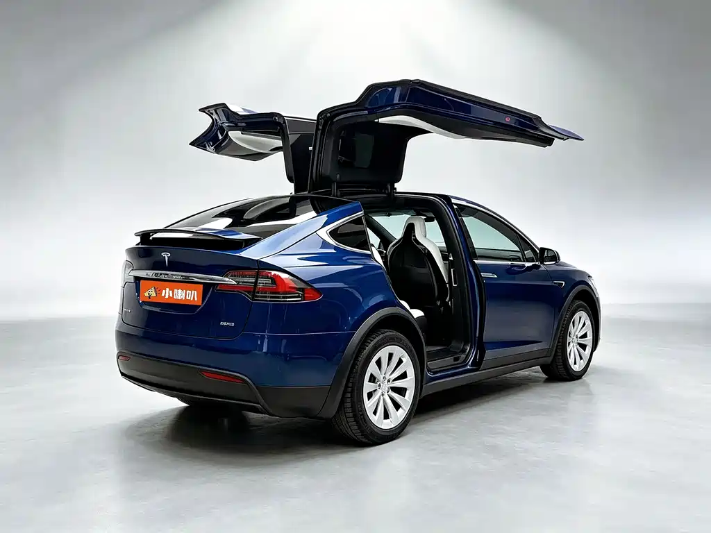 Tesla Model X — миниатюра 16