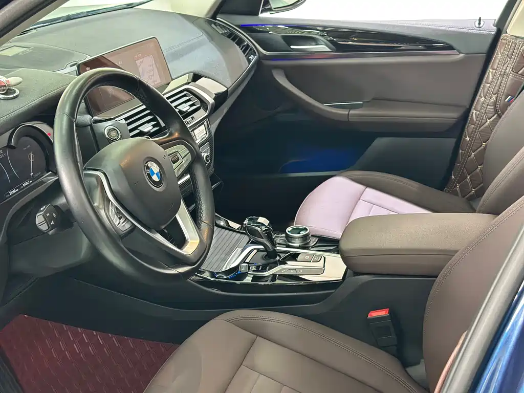 BMW X3 2018 xDrive25i Luxury VI