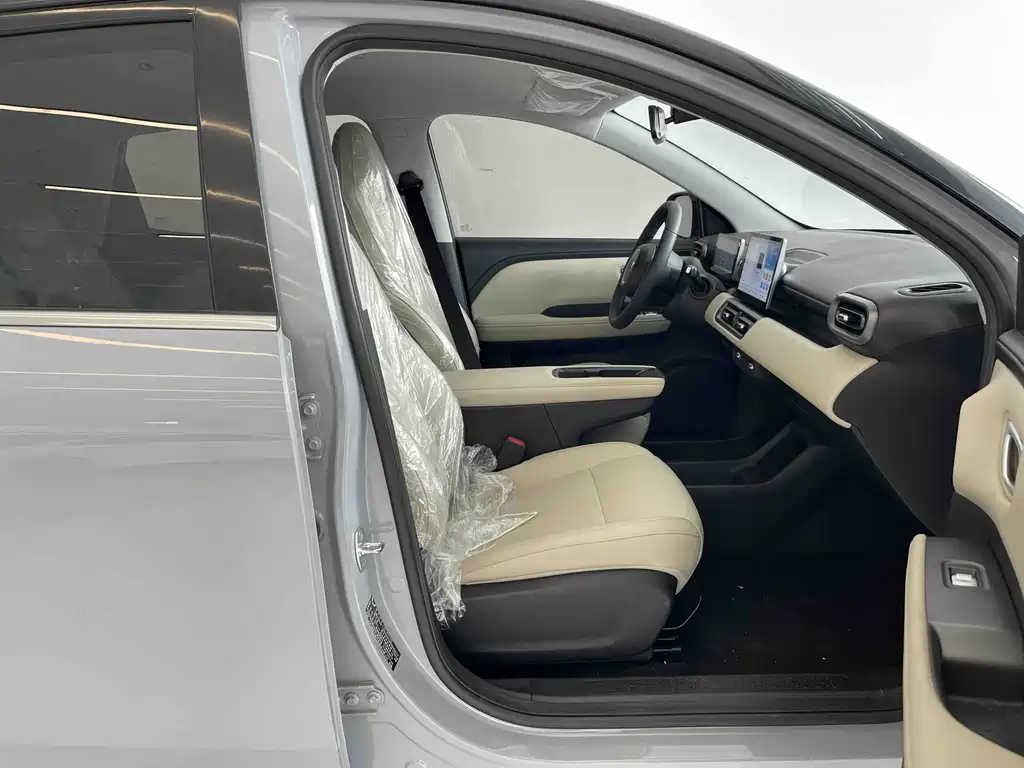 Wuling BinguoPLUS PLUS 2024 510km Flagship мест