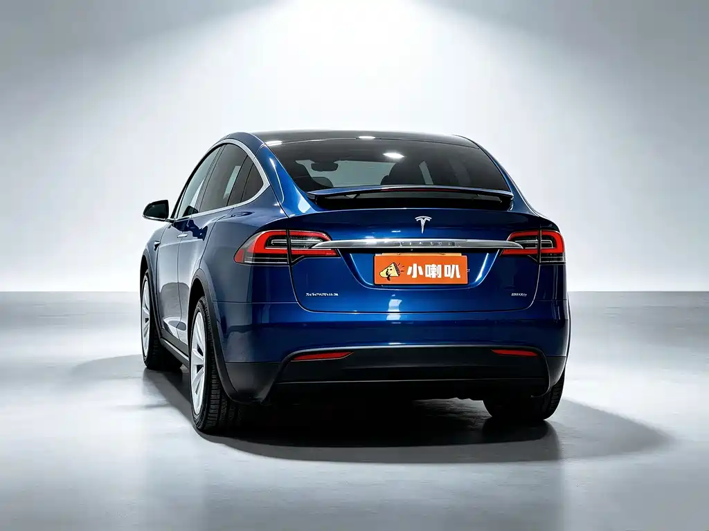 Tesla Model X — миниатюра 6