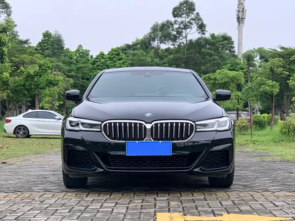 BMW 5 Series — миниатюра 2