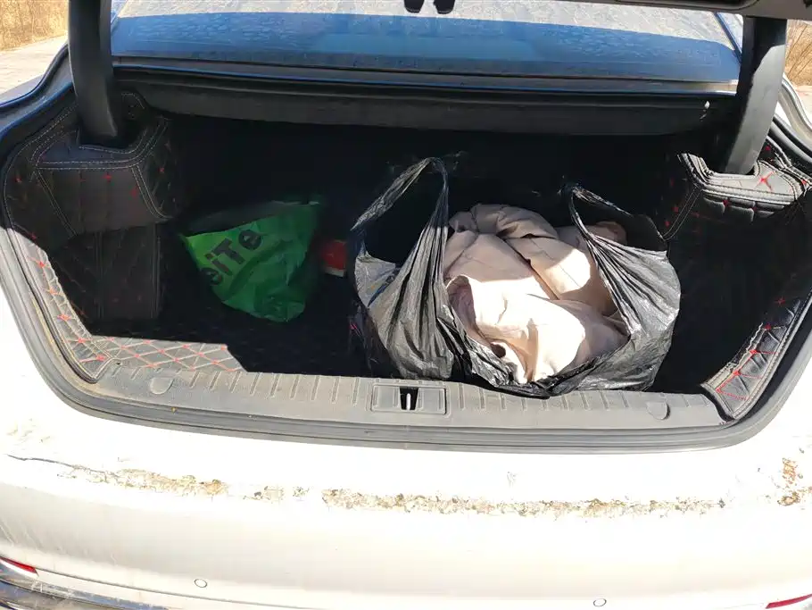 GEELY AUTOMOBILE BORUI