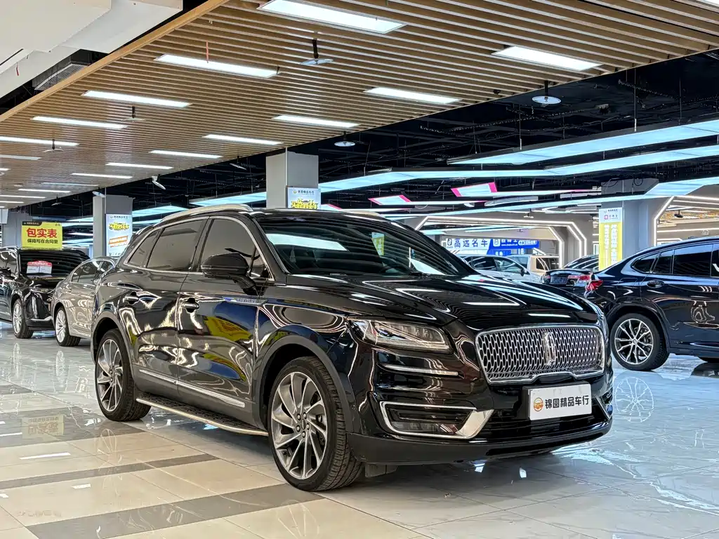 LINCOLN NAVIGATOR (IMPORT)