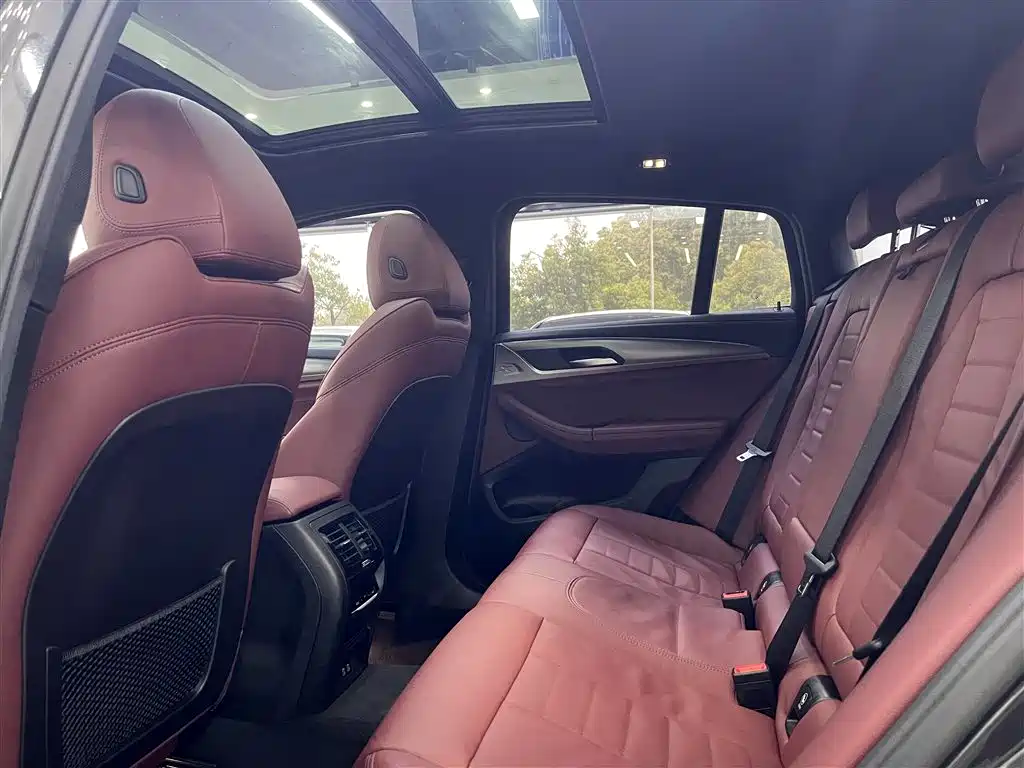 BMW X4 xDrive 25i M Sport Night Package, фото 16