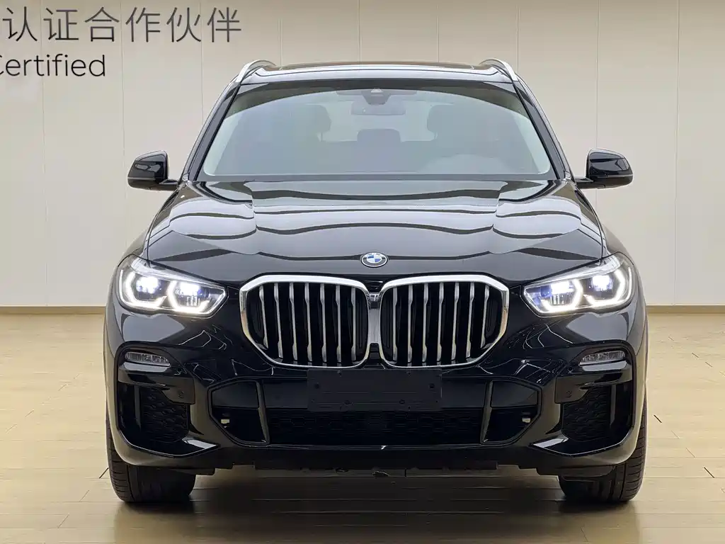 BMW X5 (Import) — миниатюра 2