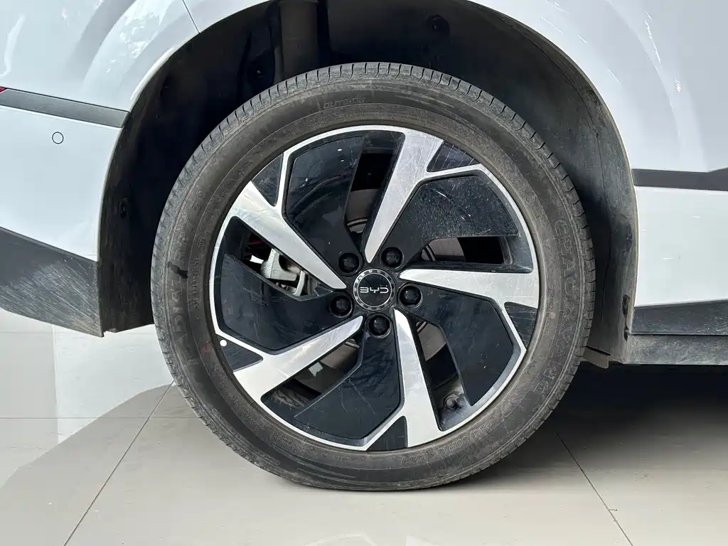 BYD SEA LION 06 NEW ENERGY