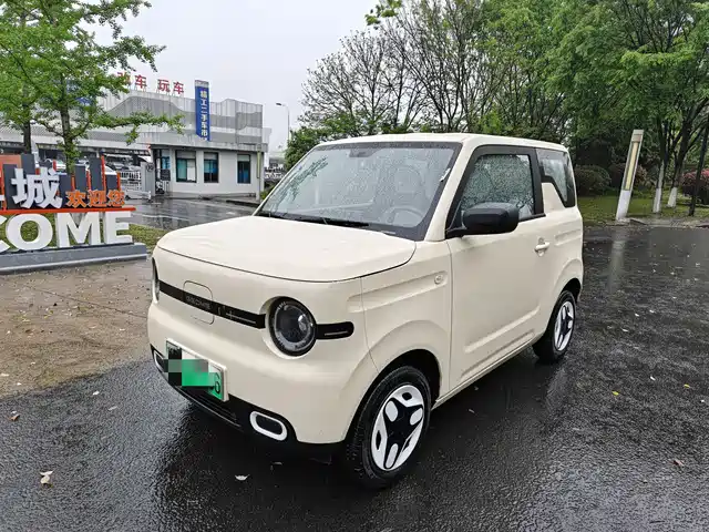 2025 Geely LC (Panda)