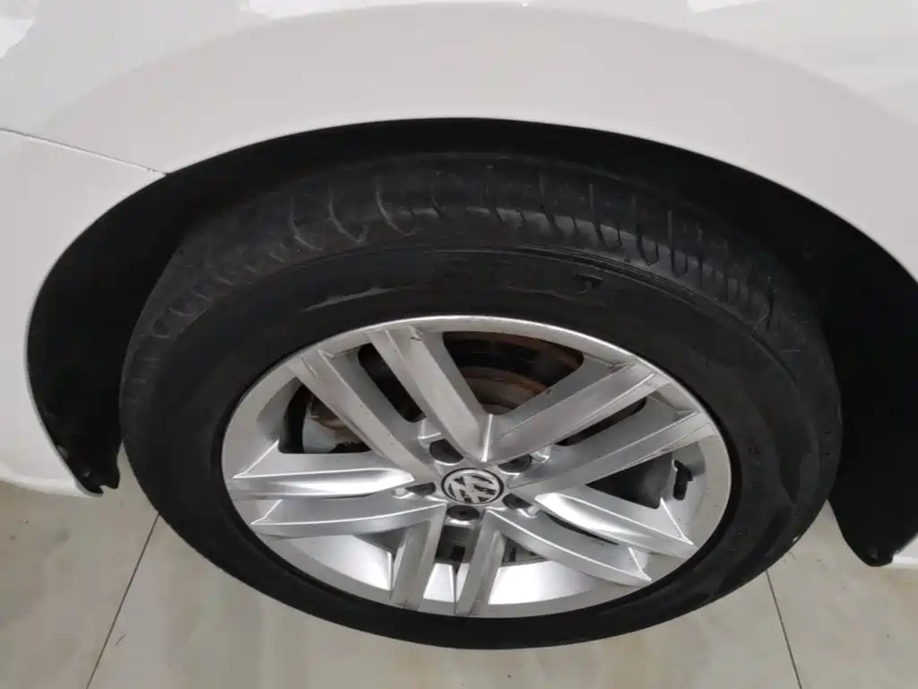 Volkswagen Gran Lavida — миниатюра 23