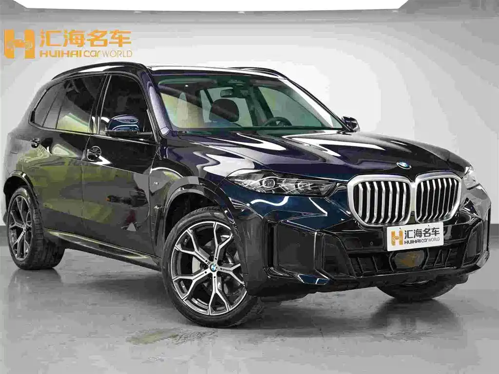 BMW X5 — миниатюра 3