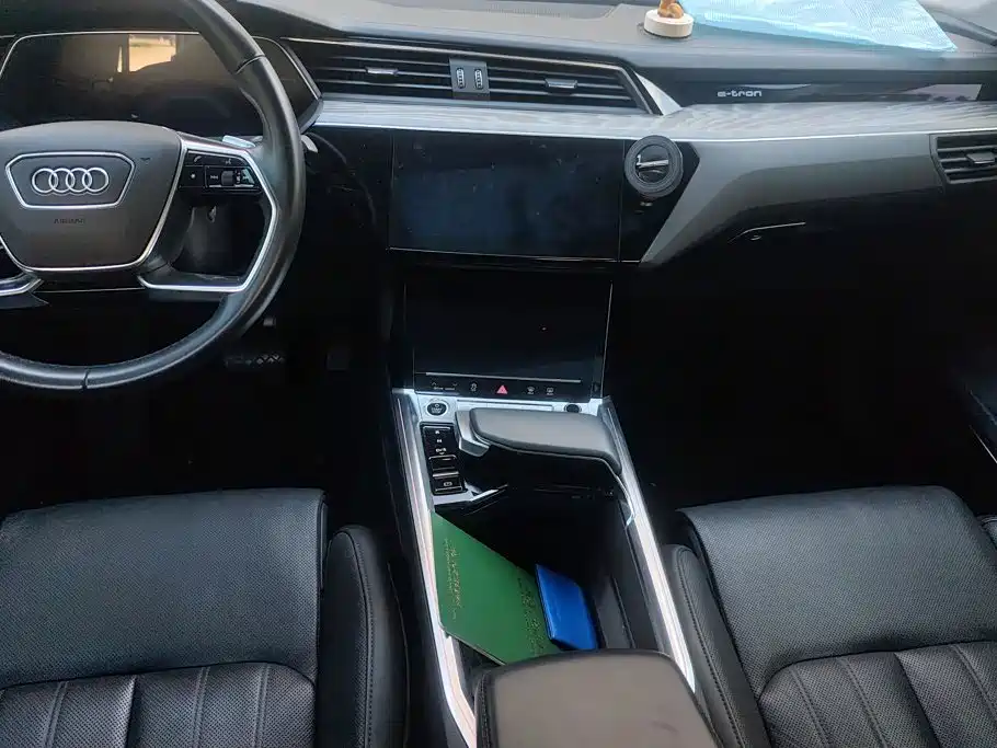 Audi e-tron (Import) — миниатюра 16