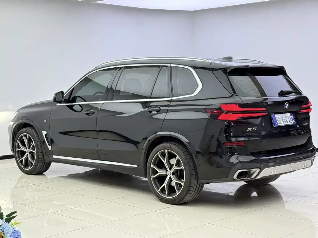 BMW X5 — миниатюра 9