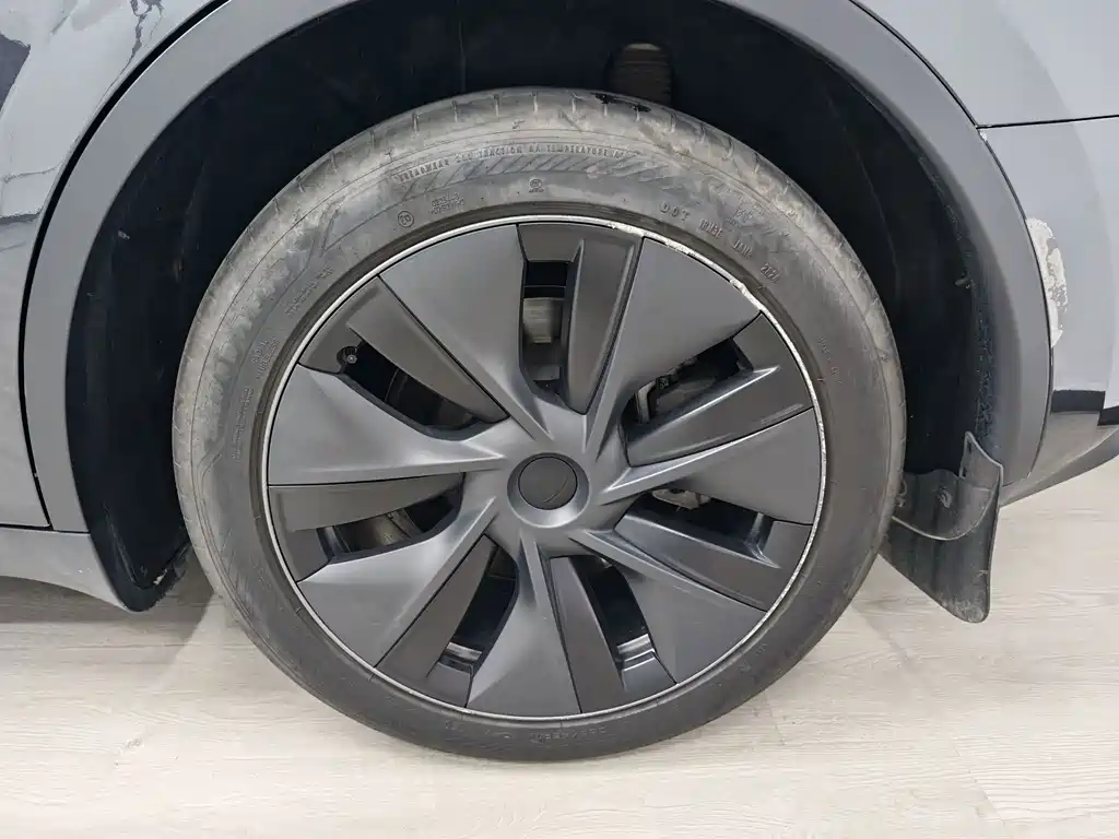 Tesla Model Y — миниатюра 9