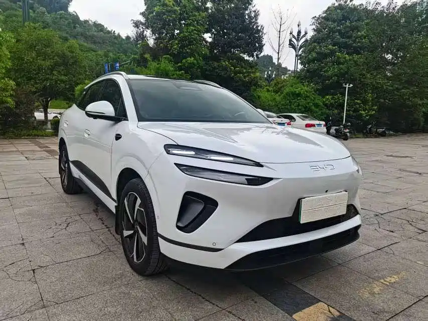 BYD Sealion 06 — миниатюра 3