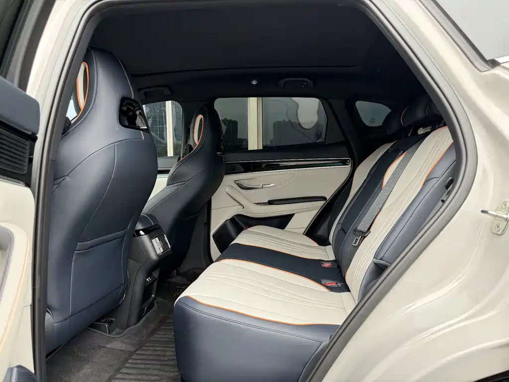 BYD PLUS New Energy — миниатюра 8