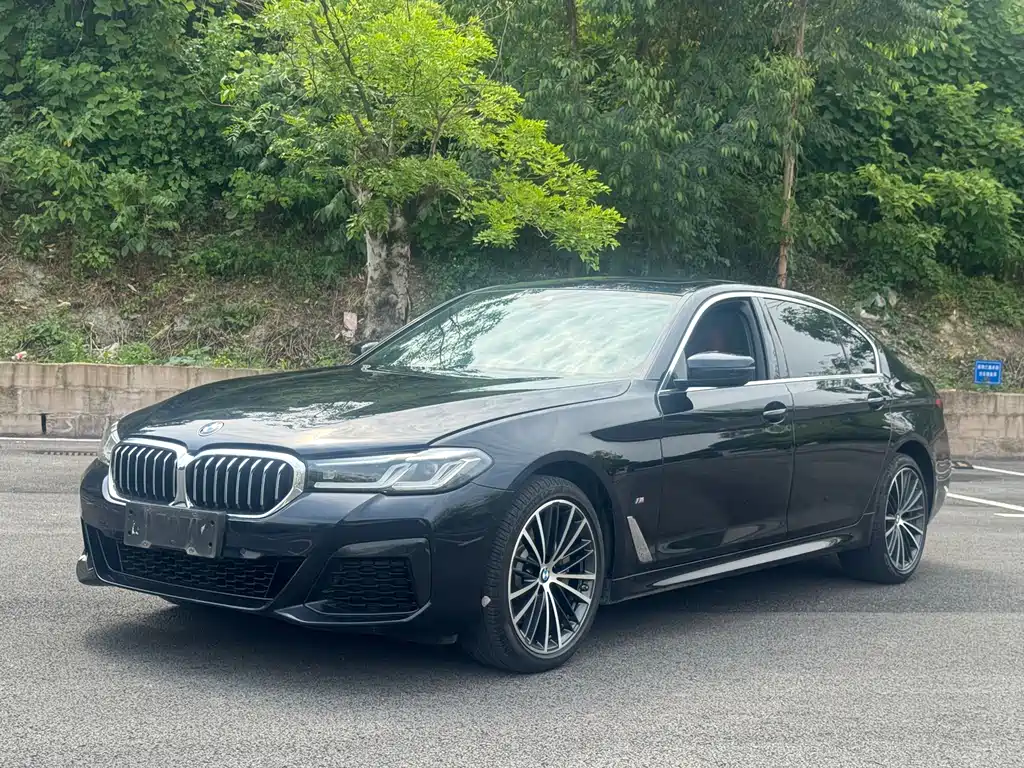 BMW 5 Series 2022