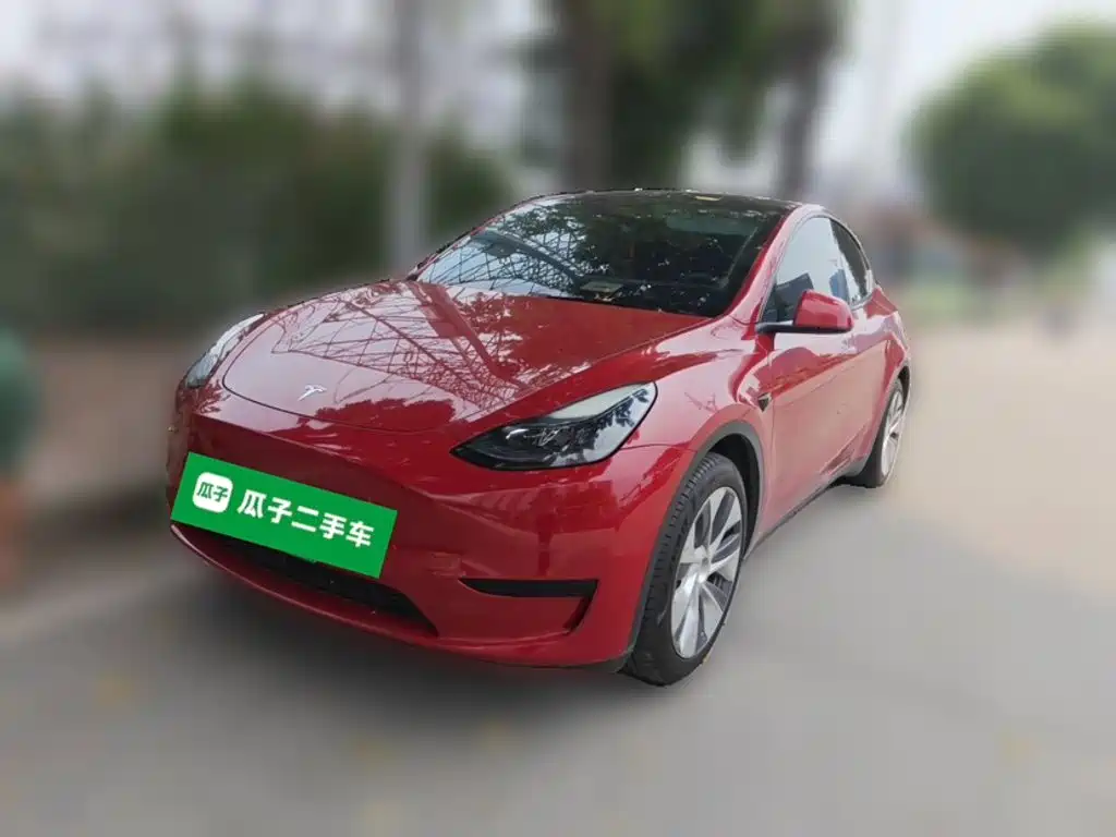 Tesla Model Y — миниатюра 24