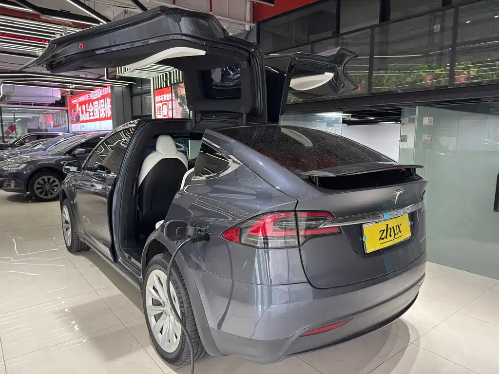 Tesla Model X — миниатюра 6