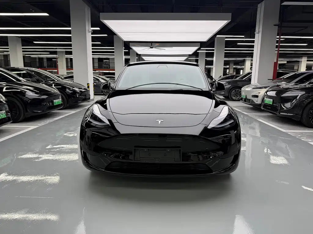 Tesla Model Y — миниатюра 2