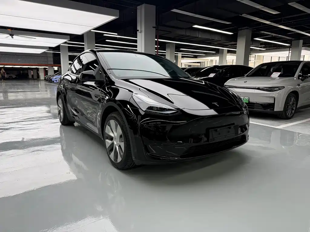 Tesla Model Y — миниатюра 3