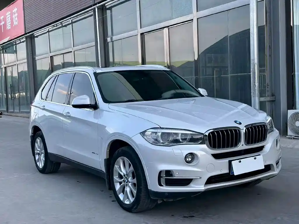 BMW X5 (Import) — миниатюра 3