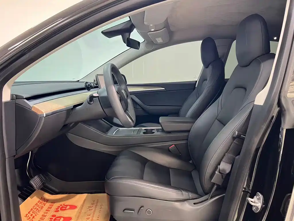 Tesla Model Y — миниатюра 3