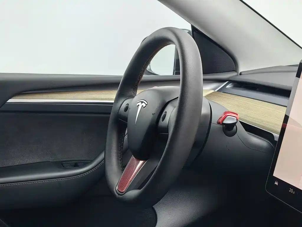 Tesla Model Y — миниатюра 22