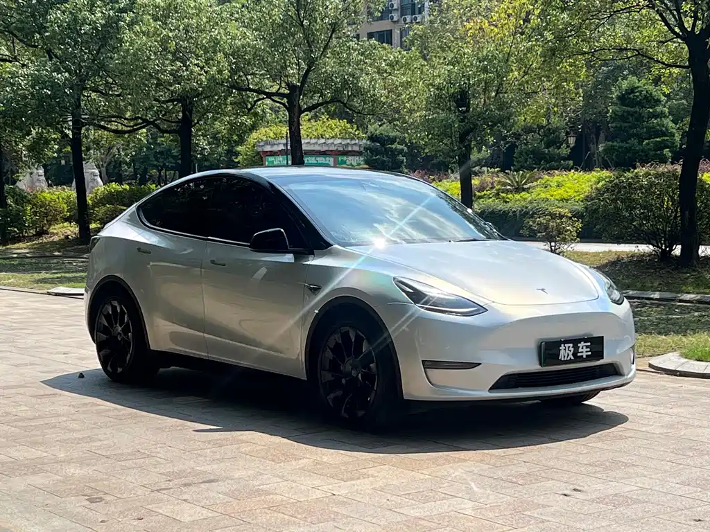 Tesla Model Y — миниатюра 3