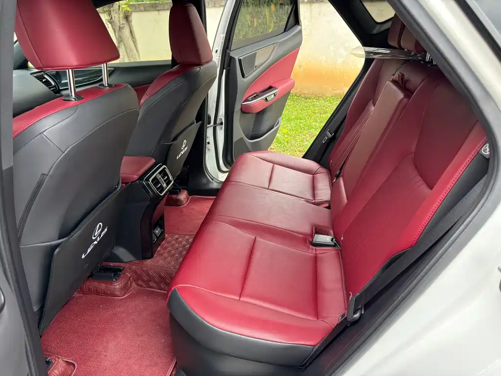 Lexus NX — миниатюра 28