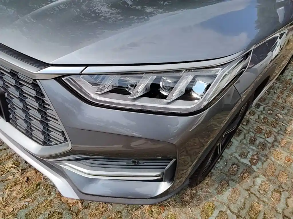 BYD PLUS — миниатюра 24