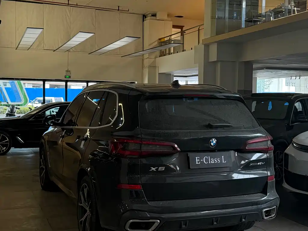 BMW X5 — миниатюра 8