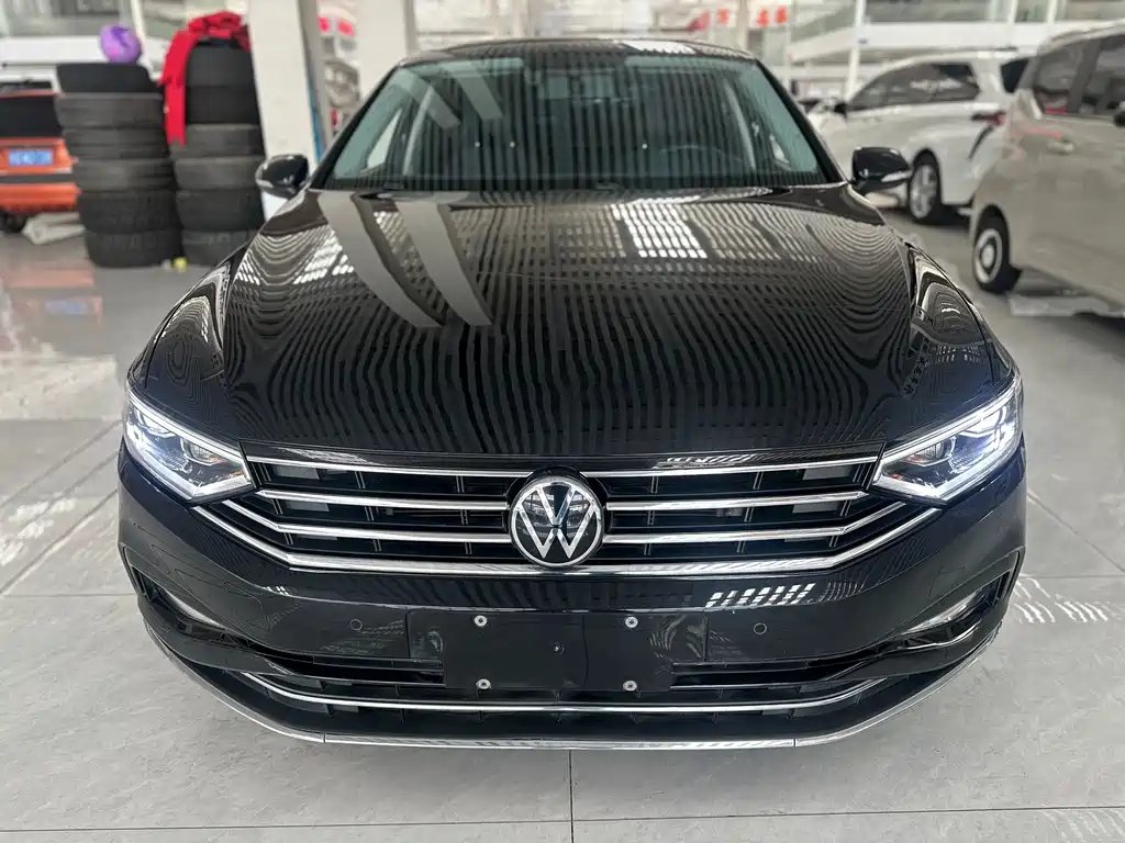 Volkswagen Magotan — миниатюра 2