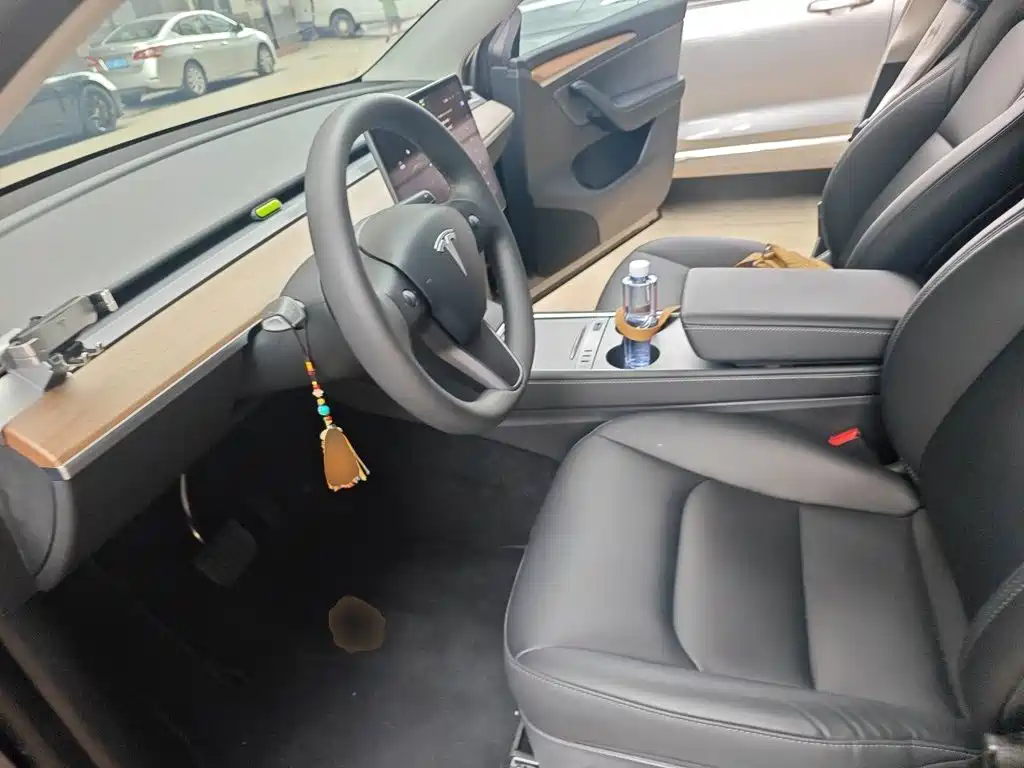 Tesla Model Y — миниатюра 11