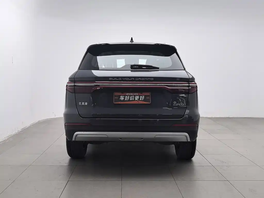BYD Pro — миниатюра 4