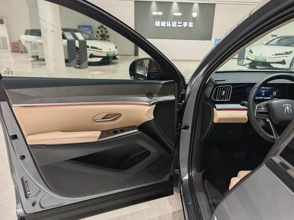 BYD Pro New Energy — миниатюра 4