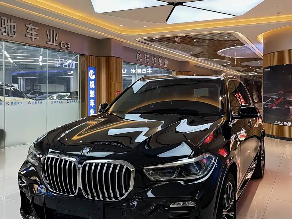 BMW X5 (Import) — миниатюра 5