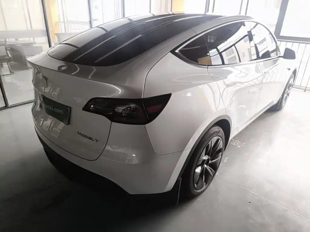 Tesla Model Y — миниатюра 7