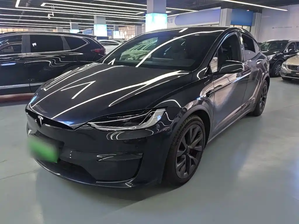Tesla Model X — миниатюра 2