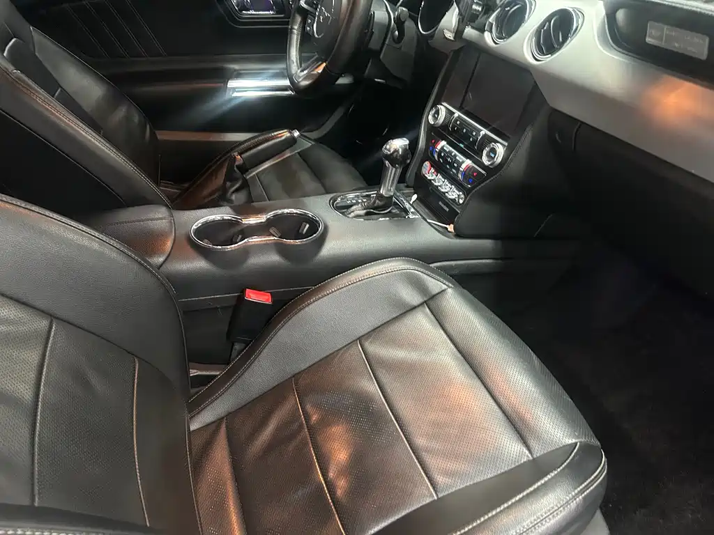 Ford Mustang — миниатюра 18