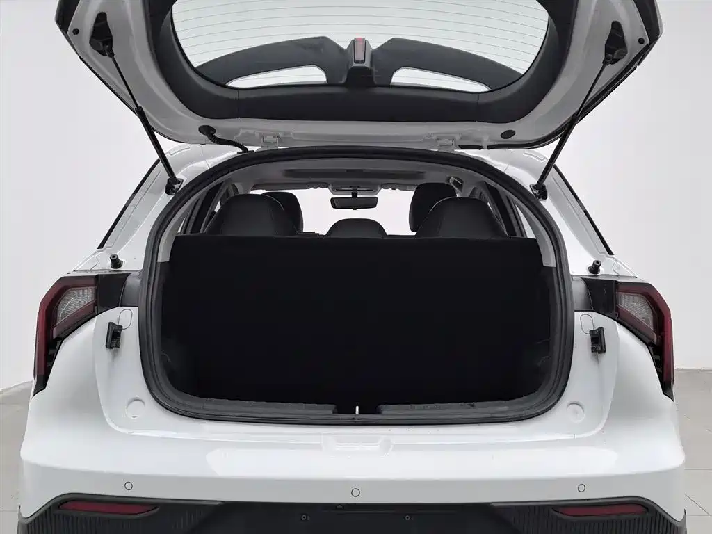 GEELY GEOMETRY E FIREFLY