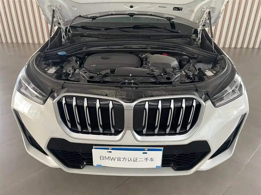 BMW X1 — миниатюра 9