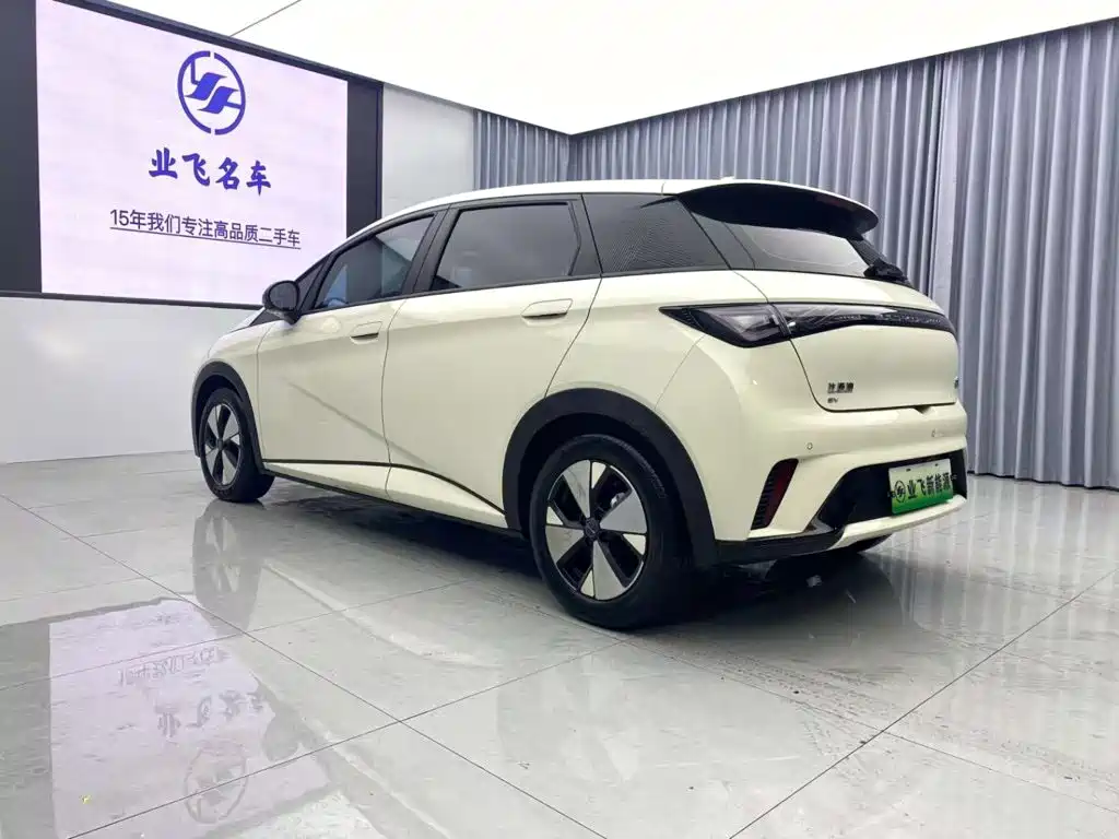 BYD Dolphin — миниатюра 6