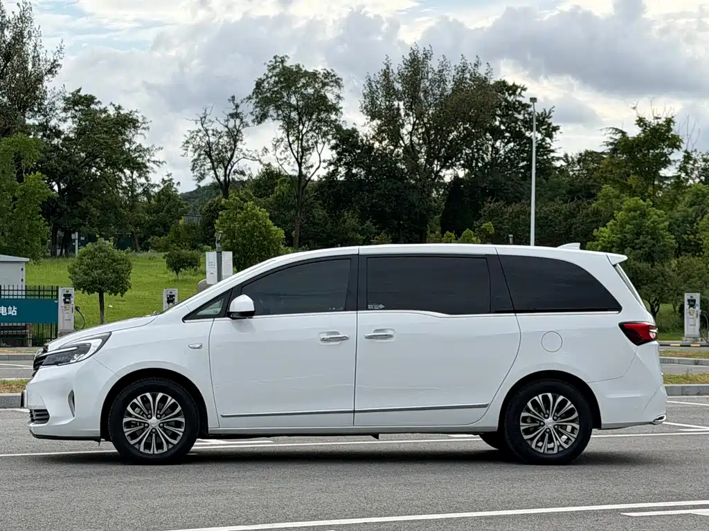 Buick GL8 — миниатюра 4
