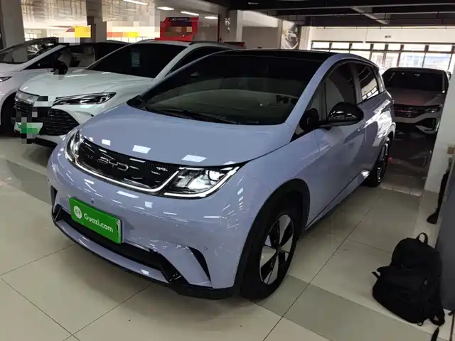 BYD DOLPHIN 2024